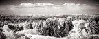 WAvandenBerg BW (9)